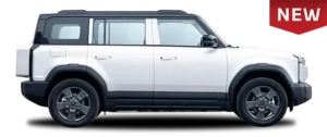 chery j6