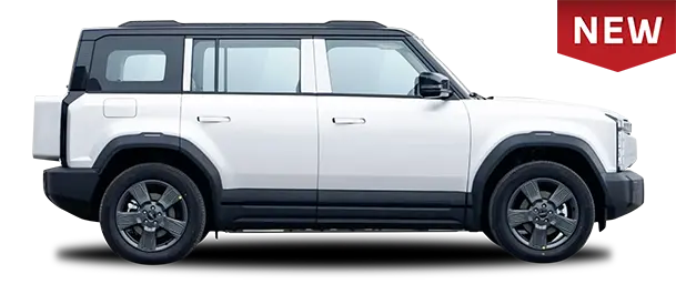 chery j6
